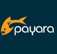 Payara Console